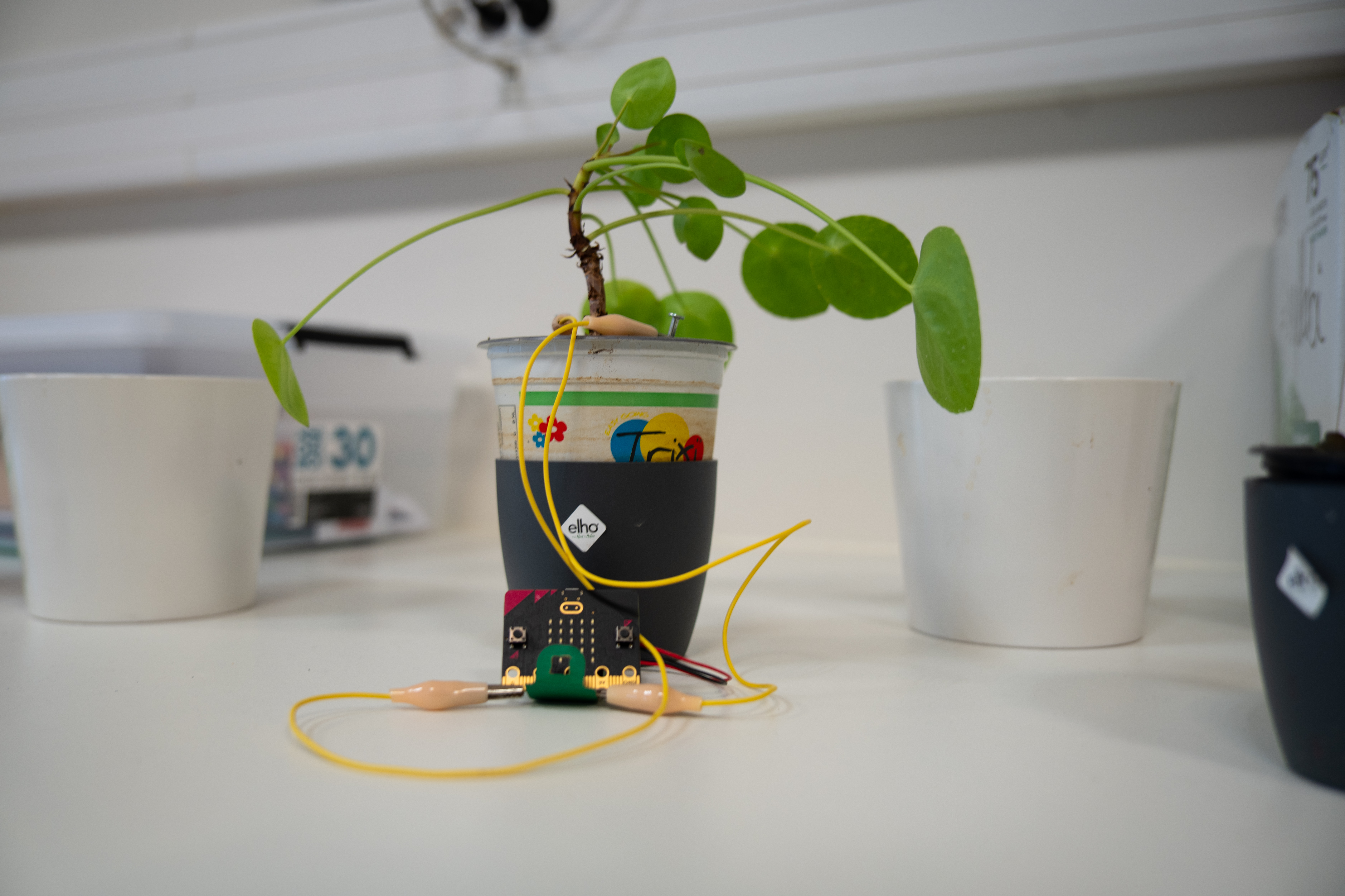 Smart Plants opstelling met plant, microcontroller en meetdraden
